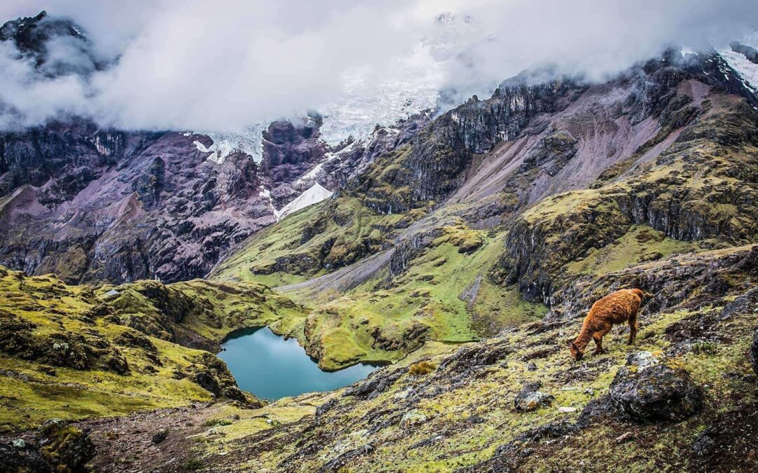 Lares Trek 4 Days